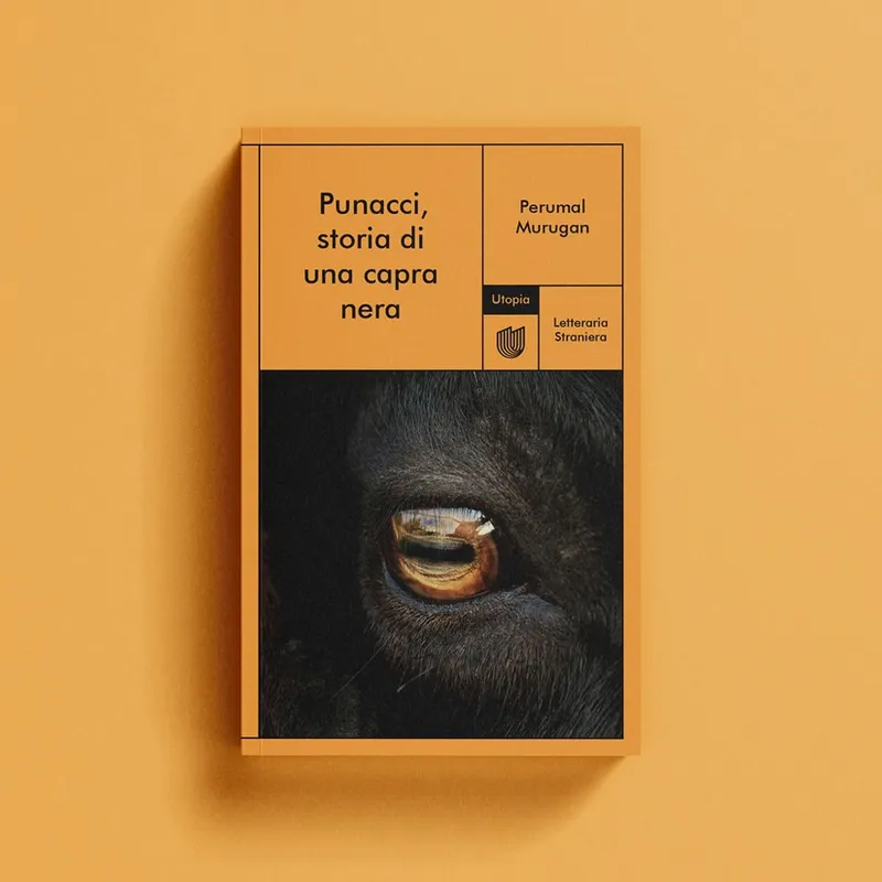Recensioni libri