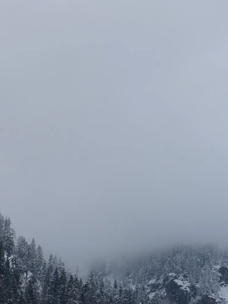 Persi nelal nebbia